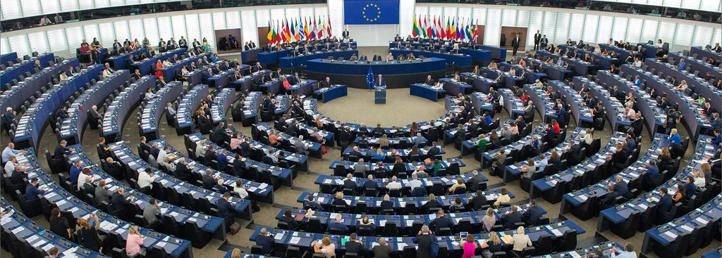 Crisis mismanagement and the European Parliament