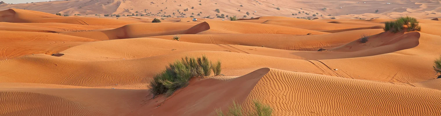Water in the GCC