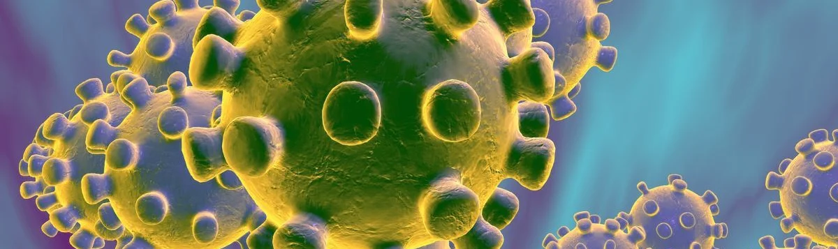 Coping with Coronavirus Euro-Gulf Perspectives Conference Report