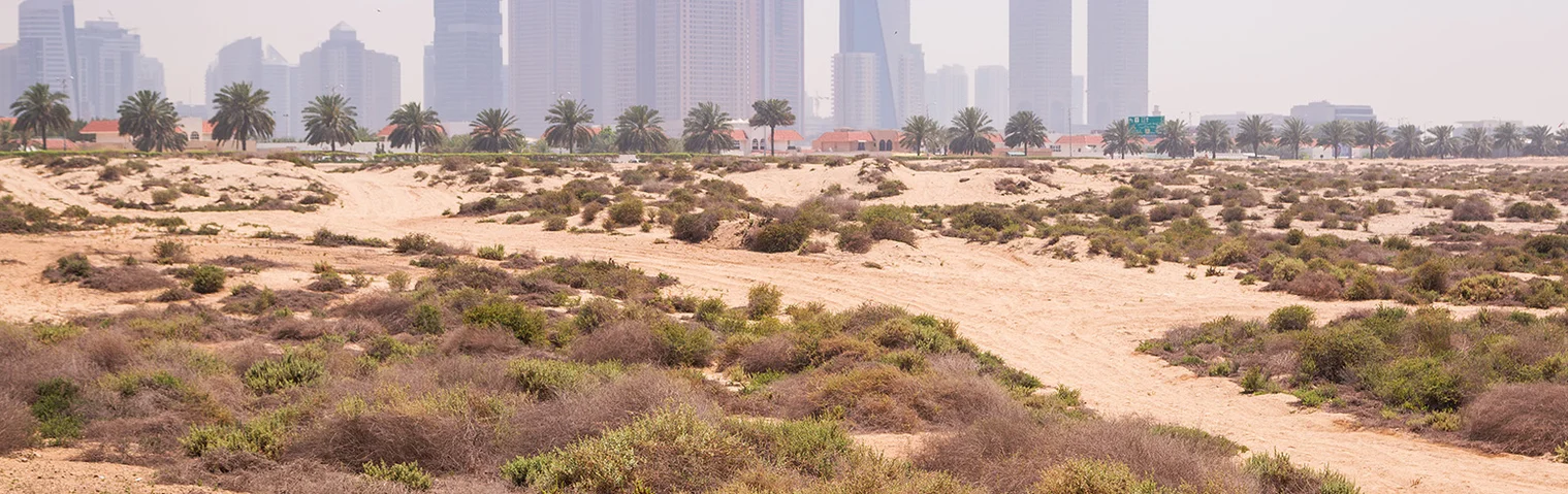 The Drive Away from Hydrocarbons: How the UAE is Tackling Climate Change