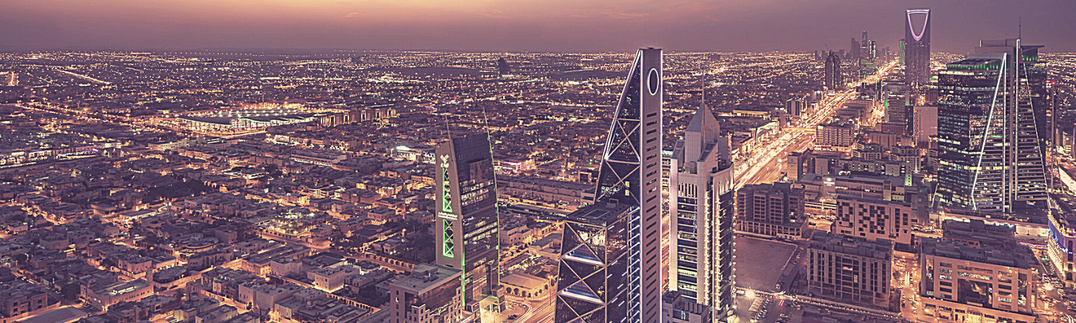 Saudi Arabia and Women’s Rights ahead of the G20 Riyadh Summit