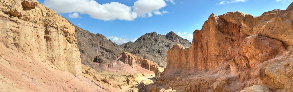 The Abraham Accords in Action: A Personal Reflection on My Journey from the Gulf to Israel