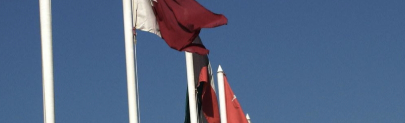 Nine Months into the COVID-19 Pandemic — How are the GCC Countries Coping?