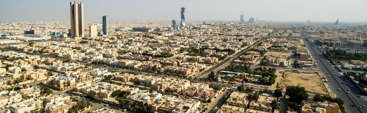 Behind the Privatisation Drive in Saudi Arabia
