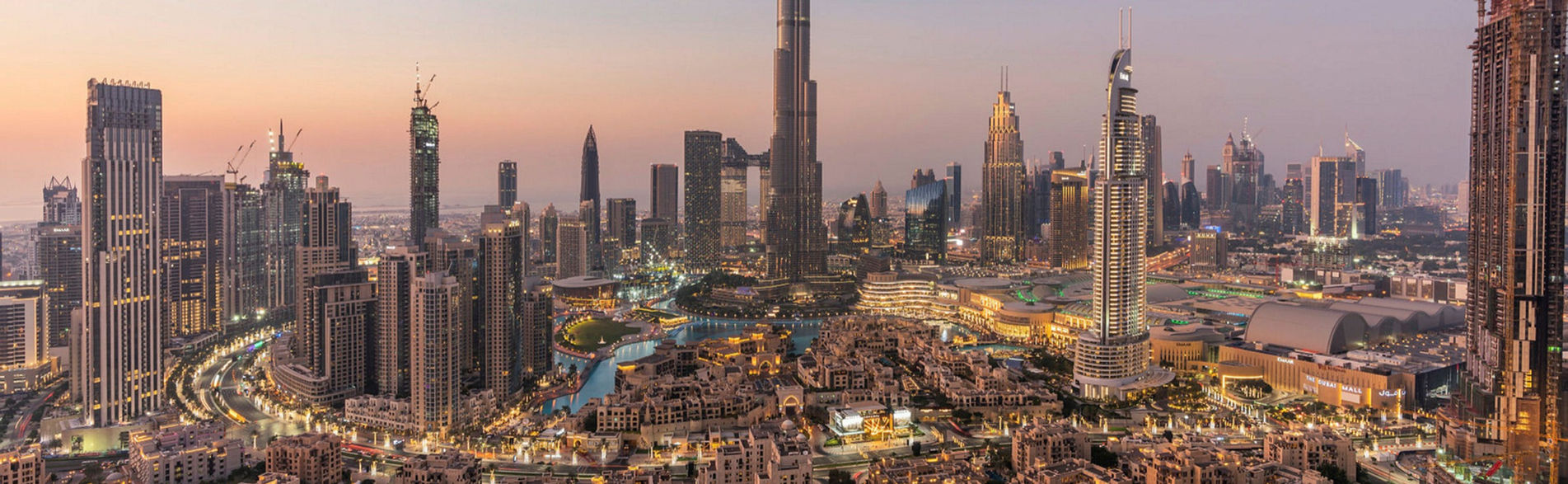 Privatisation in the UAE: A Growing Alliance between the Public and Private Sector