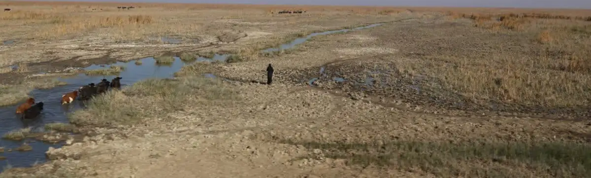 The Heatwave and Iraq in the Times of Climate Change