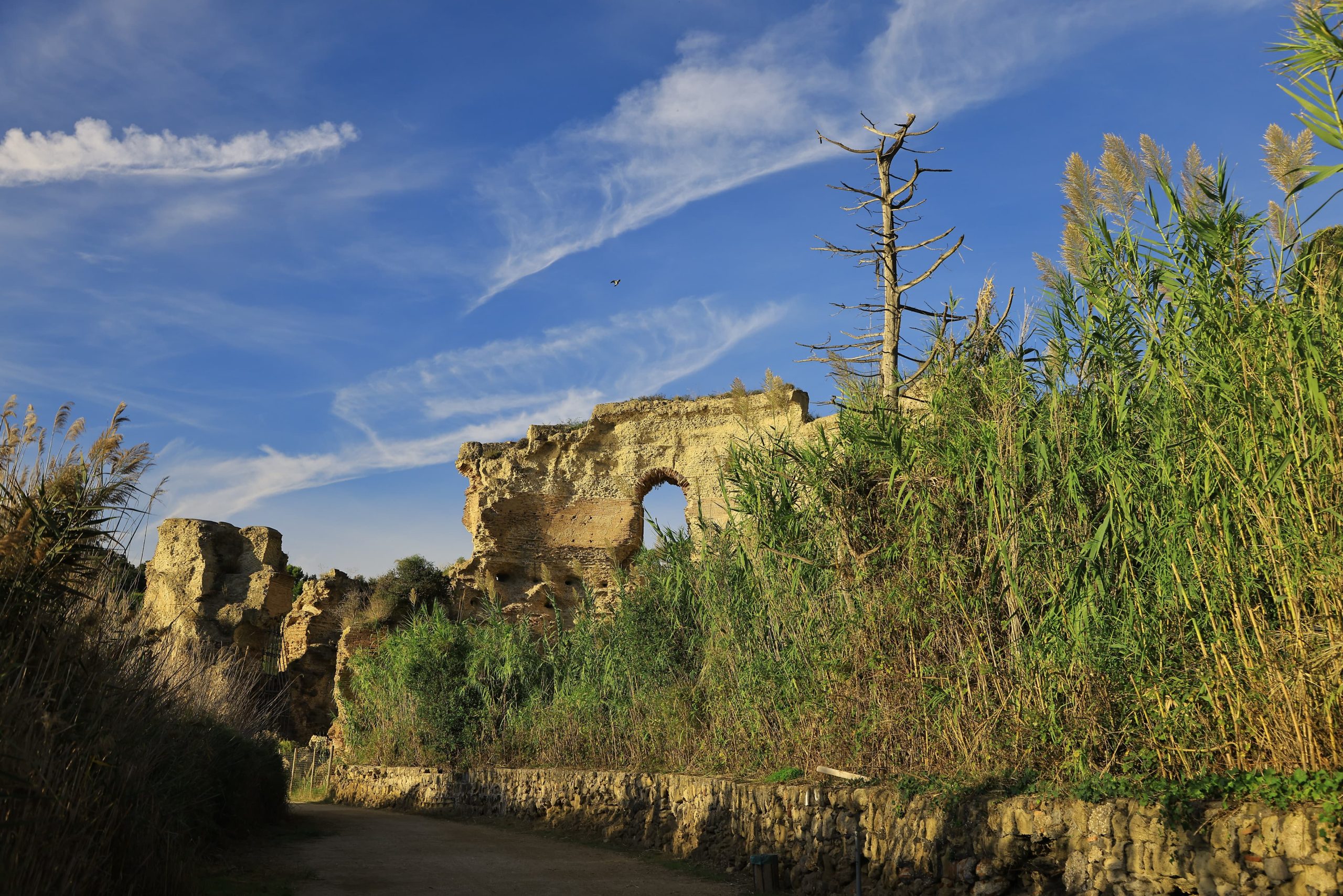 The Rome Dialogues III